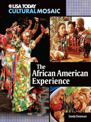 cover image of The African American Experience
